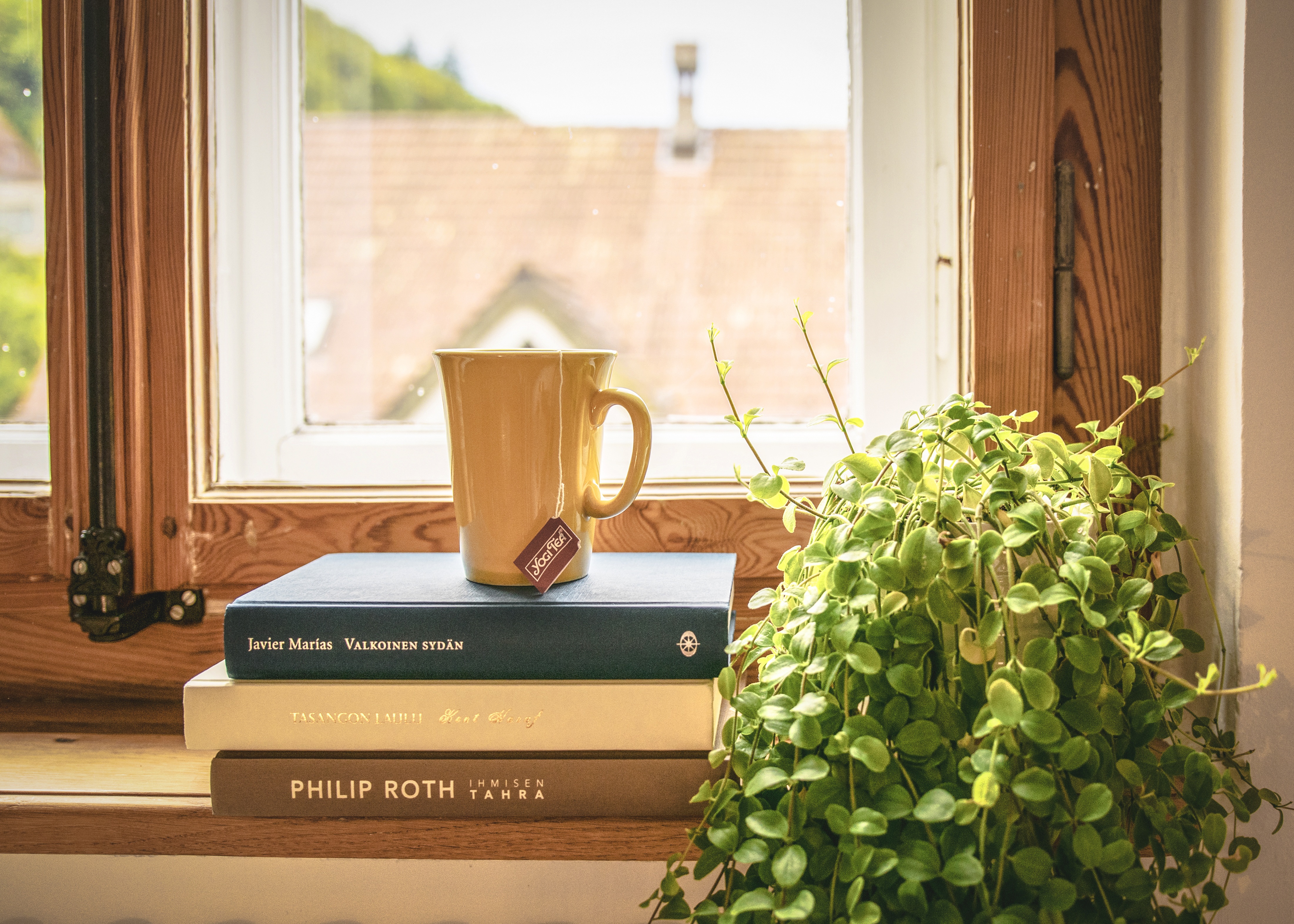 Kaffee und Bücher in Fensterbank, erste eigene Wohnung.Bild 3 von 3.Immobilienvermittlung Kühn - Kopie